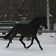 2010, zima, Miosna